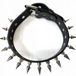 Funk Plus Chokers And Collars Vegan Leather Choker With 1