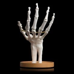 Suk UK Skeleton Jewelry Tidy Housewares