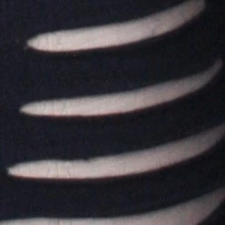 Punk Rave Gothic Burnt Flower Top