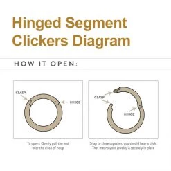 BodyVibe Jewelry Surgical Steel Basic Hinged Segment Ring - 18g 3/8