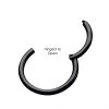 BodyVibe Black Plated Hinged Segment Ring - 20g 5/16" Jewelry